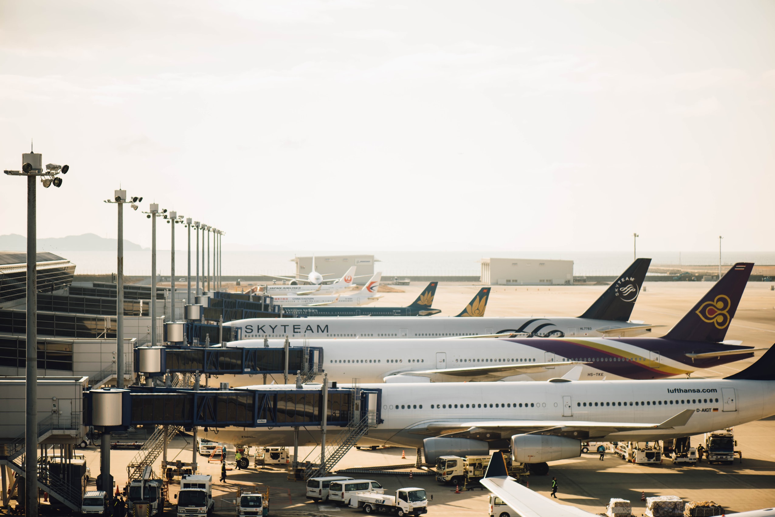 Row of aircraft at airport gates.